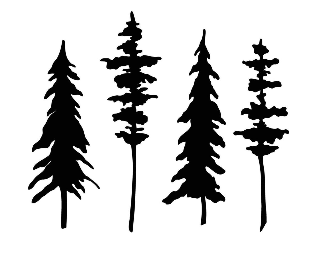 Set of Coniferous Trees silhouette. illustration with Pines and Spruce. Engraving of forest plants painted by black inks. Etching of evergreen park on isolated background for icon vector