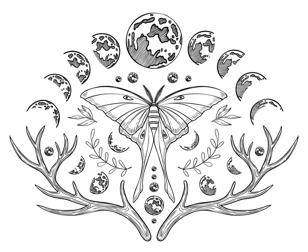 Mystical luna Moth with Moon phases. illustration of a night butterfly with wings. Drawing of celestial magical composition for prints painted by black inks in linear style. Monochrome etching vector