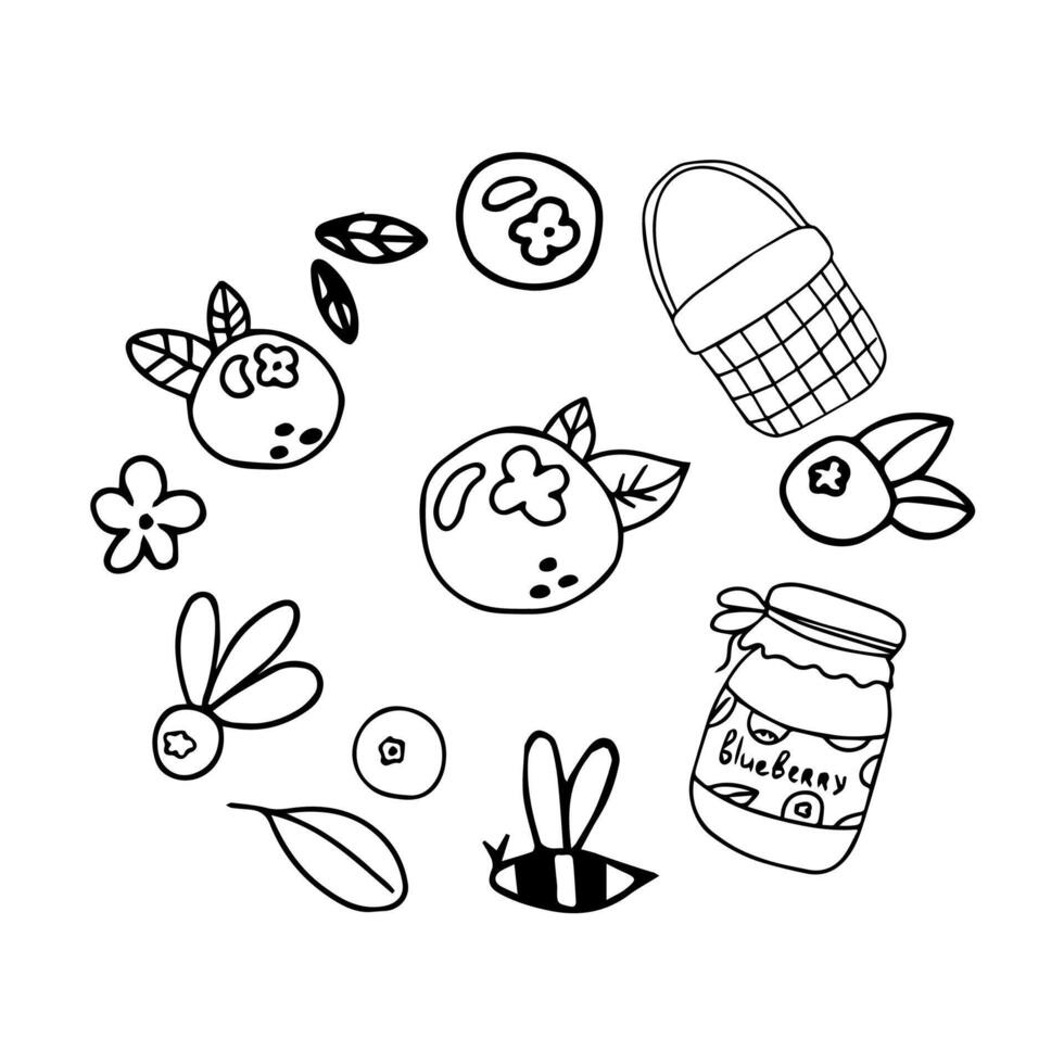 Hand drawn set of doodle blueberry, jar of jam, bee, basket. vector
