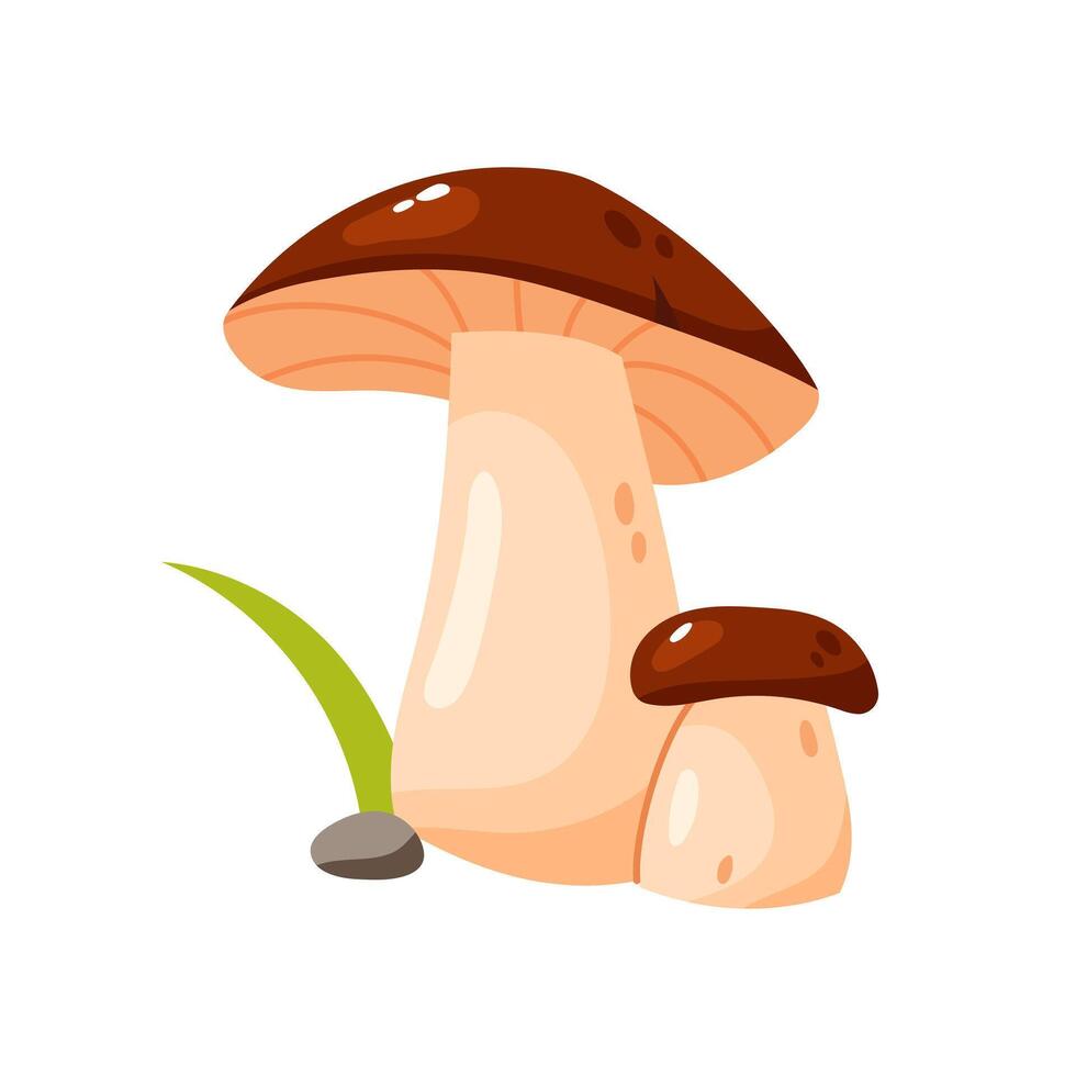 Cute cartoon illustration of a mushroom vector