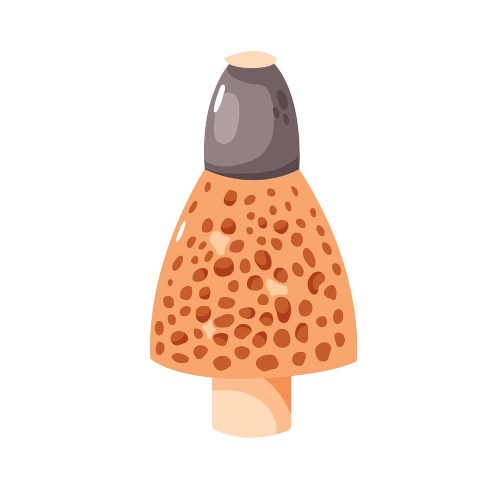 Cute cartoon illustration of a mushroom vector