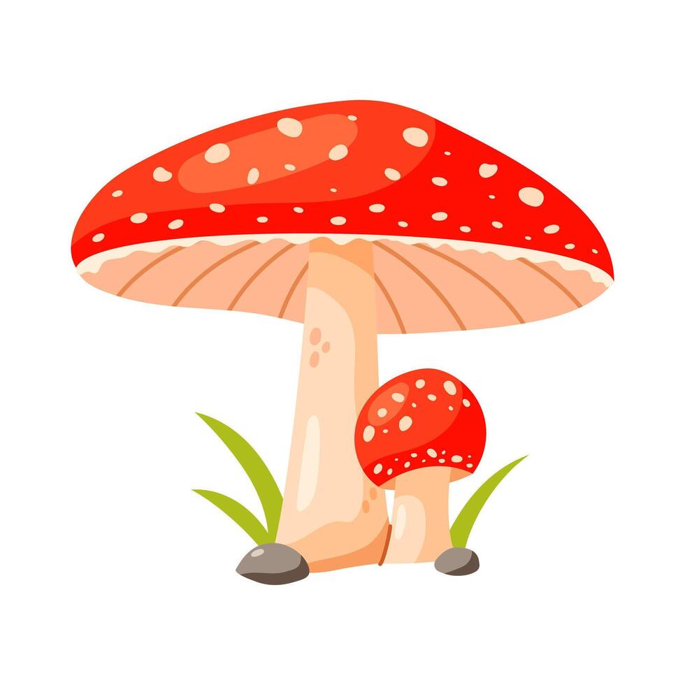 Cute cartoon illustration of a mushroom vector