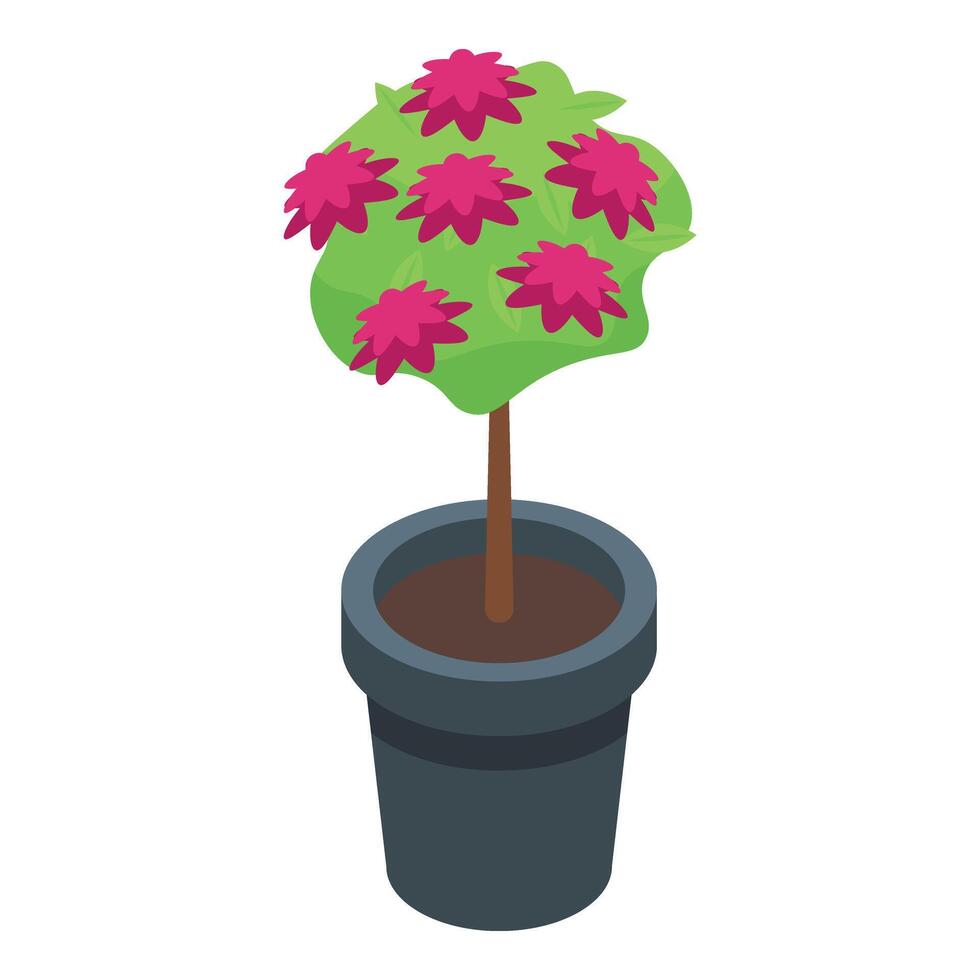 Tree flower pot icon isometric . Garden houseplant vector