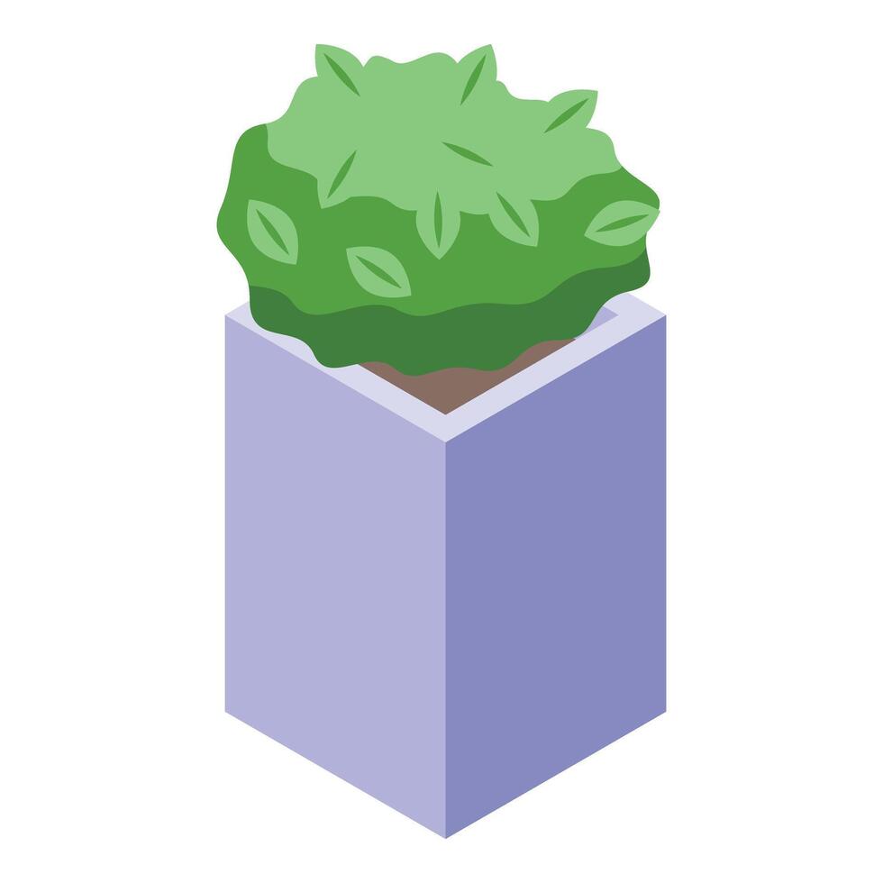 Bush plant icon isometric . Botany pot vector