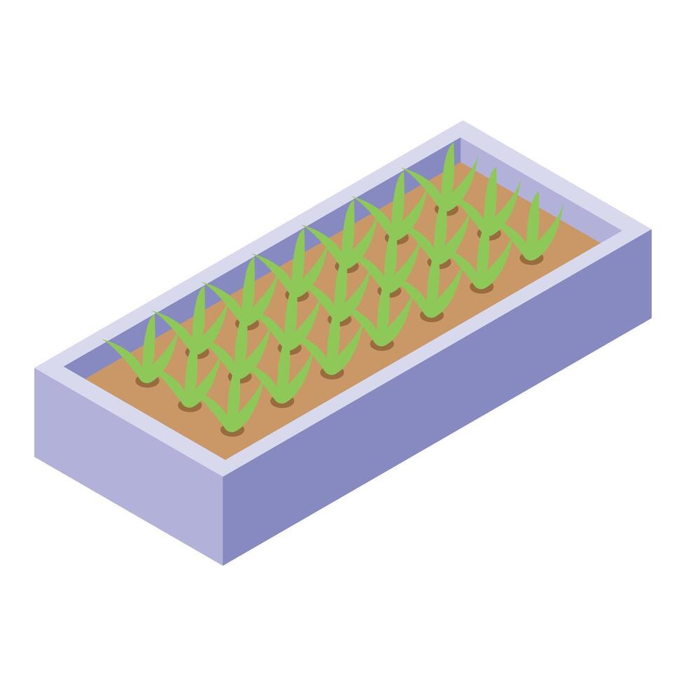 Balcony gardening box icon isometric . Flower plant vector