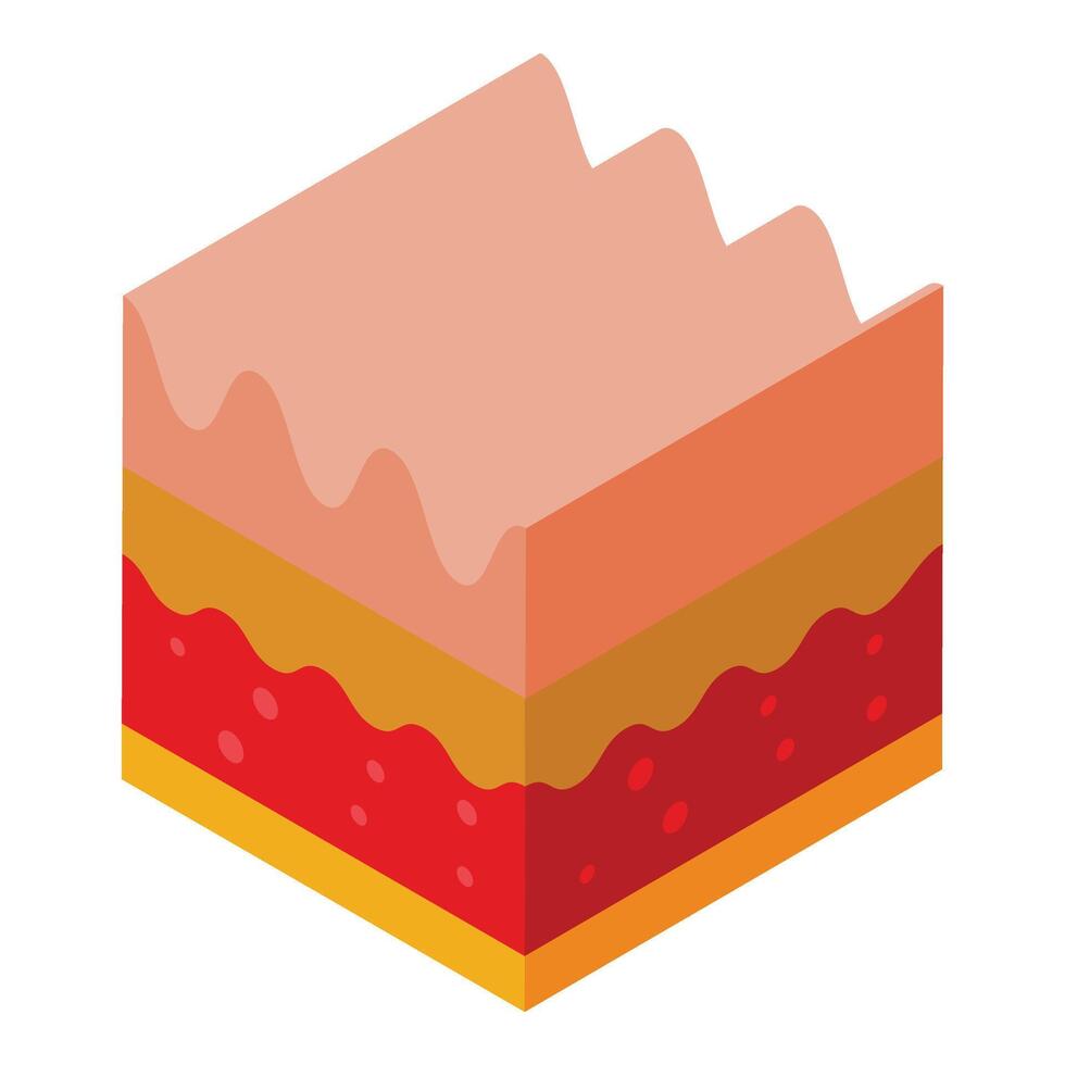 Skin care icon isometric . Inject new botox vector