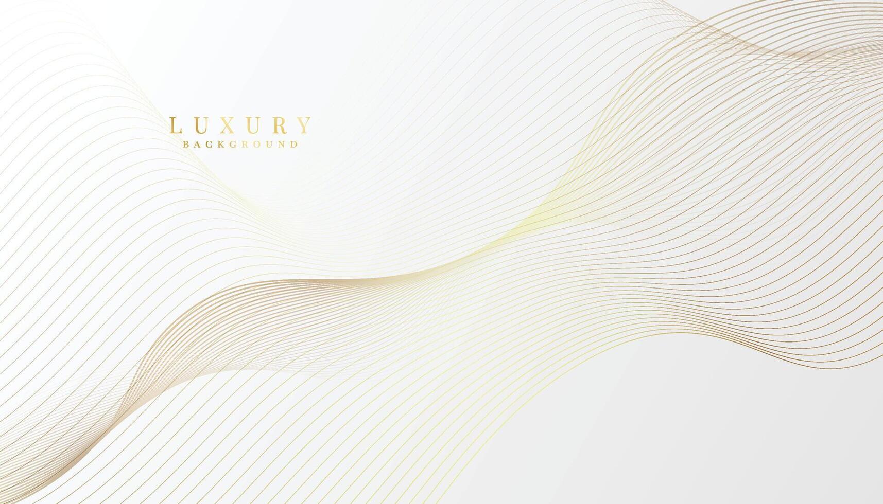 White background with golden lines. luxury premium background vector