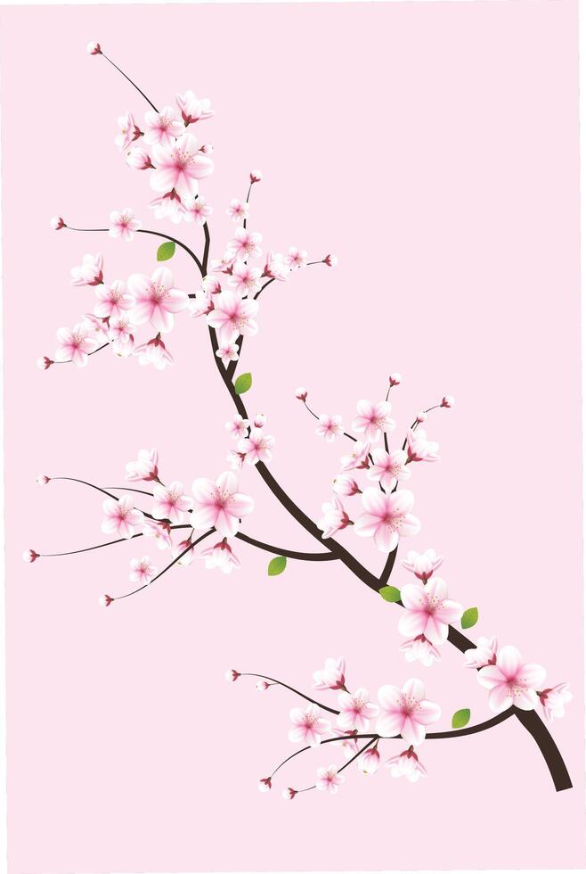generated ai Sakura flower illustration vector