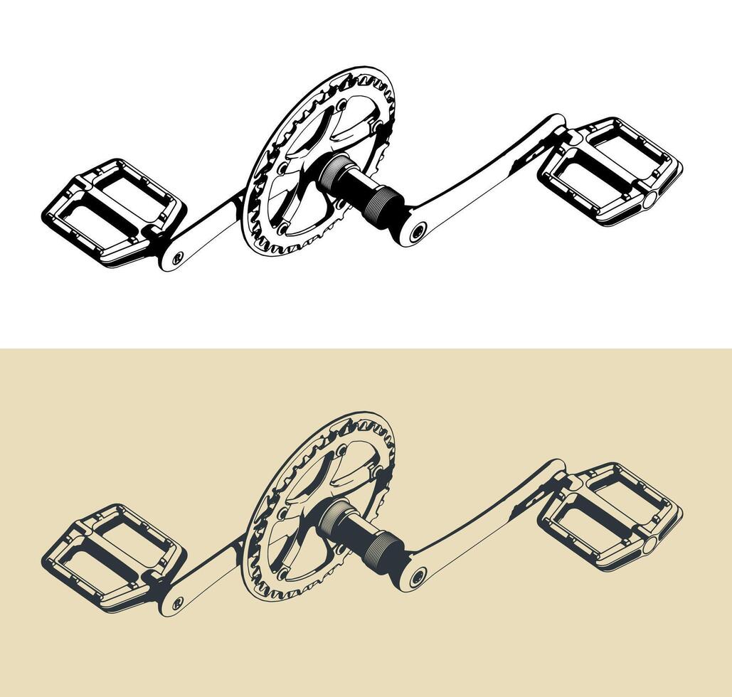 Bicycle crankset with pedals vector