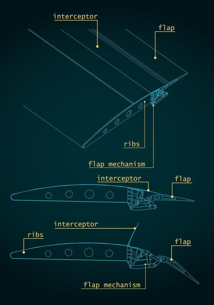 Aircraft Wing Structure and Flaps Systems Blueprints vector