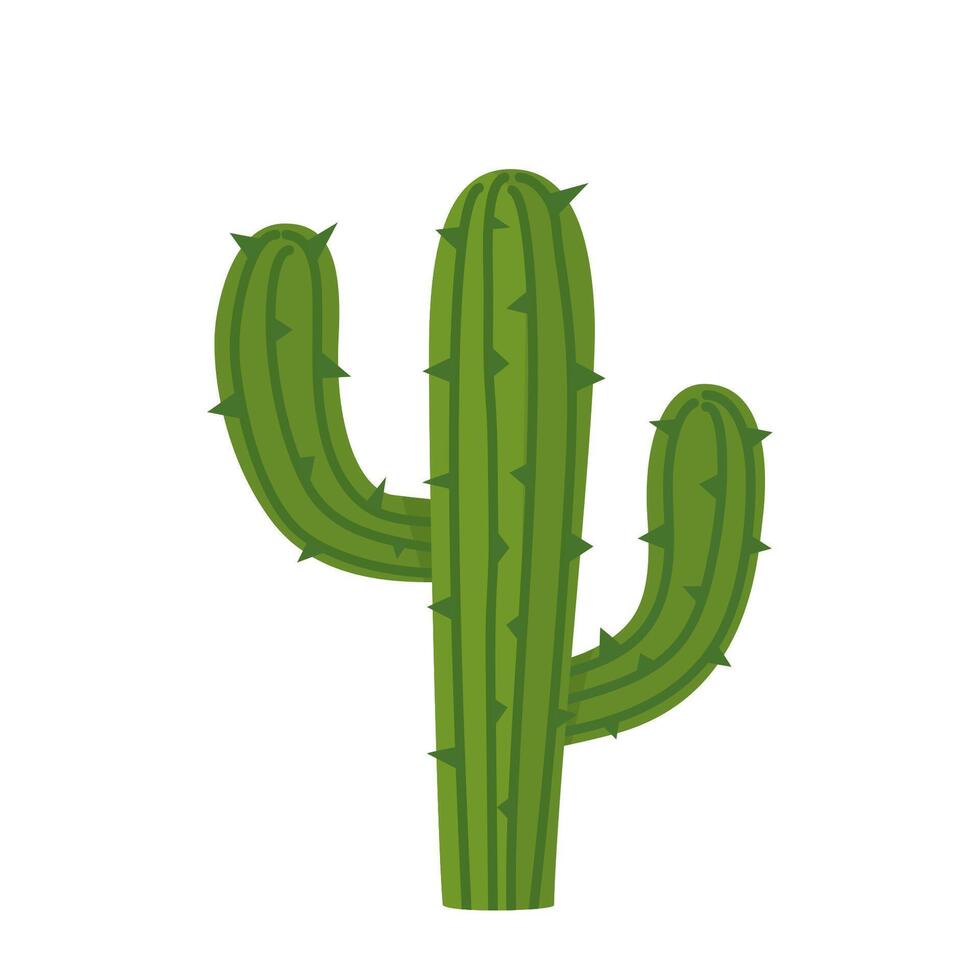 The green cactus on a rocky Texas soil isolated on white background. vector