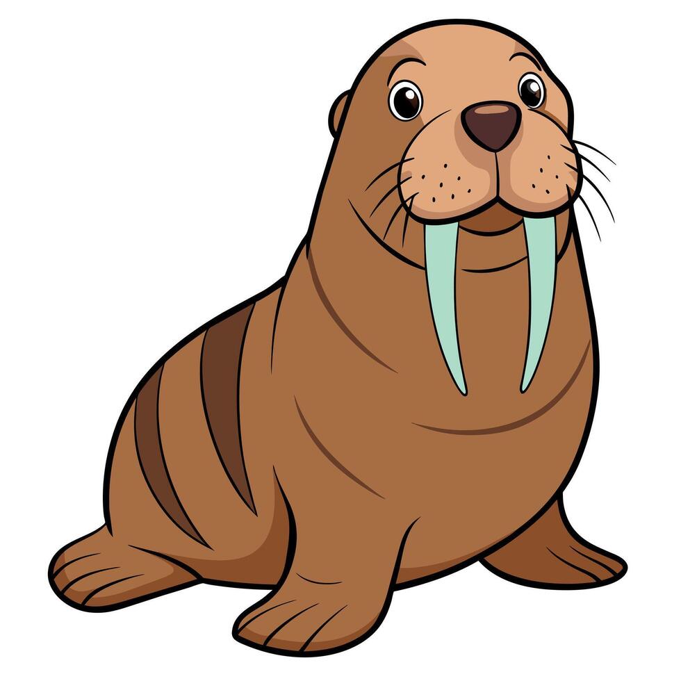Walrus flat style illustration vector