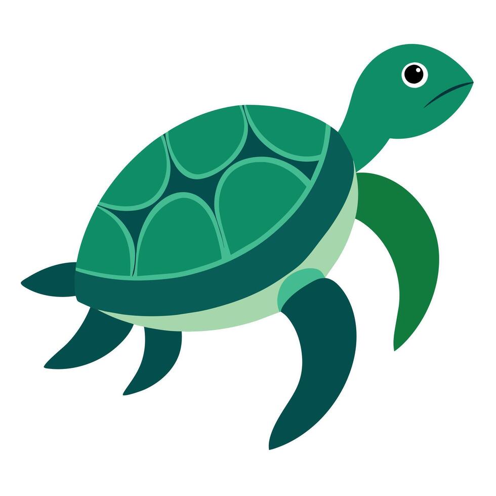 Sea Turtle illustration flat style, Turtle carton vector