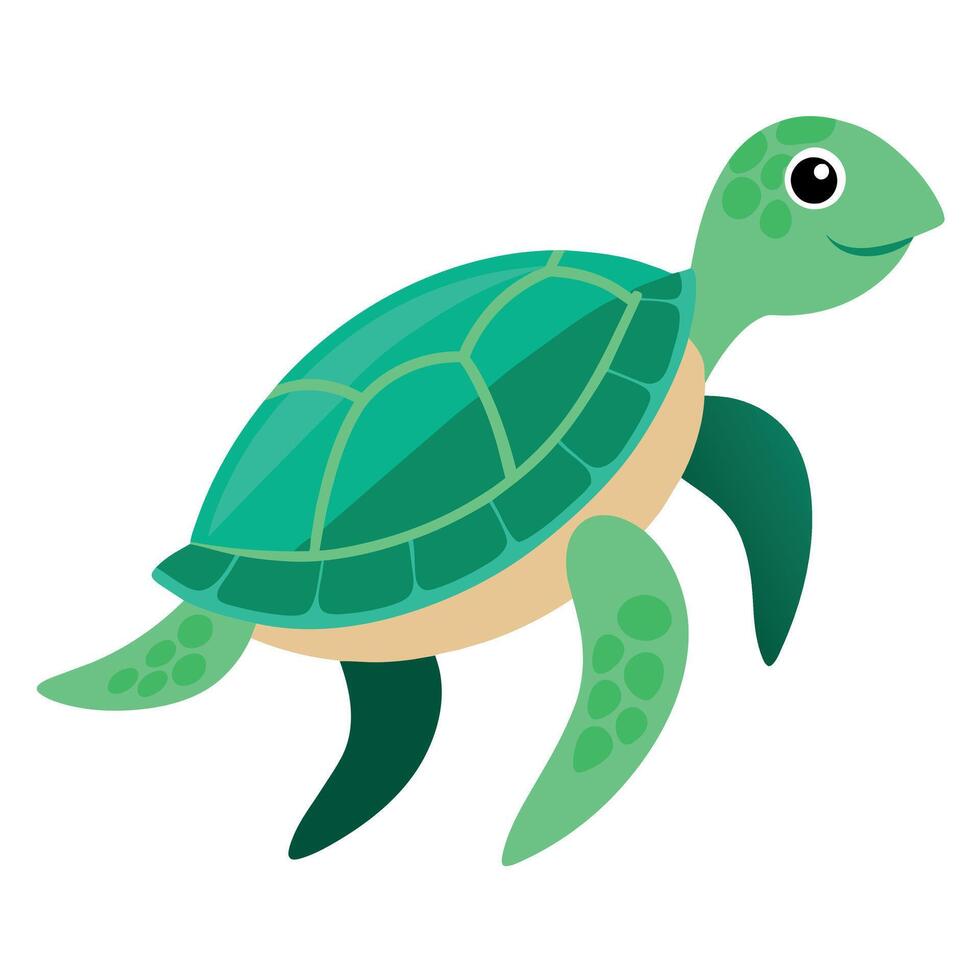 Sea Turtle illustration flat style, Turtle carton vector