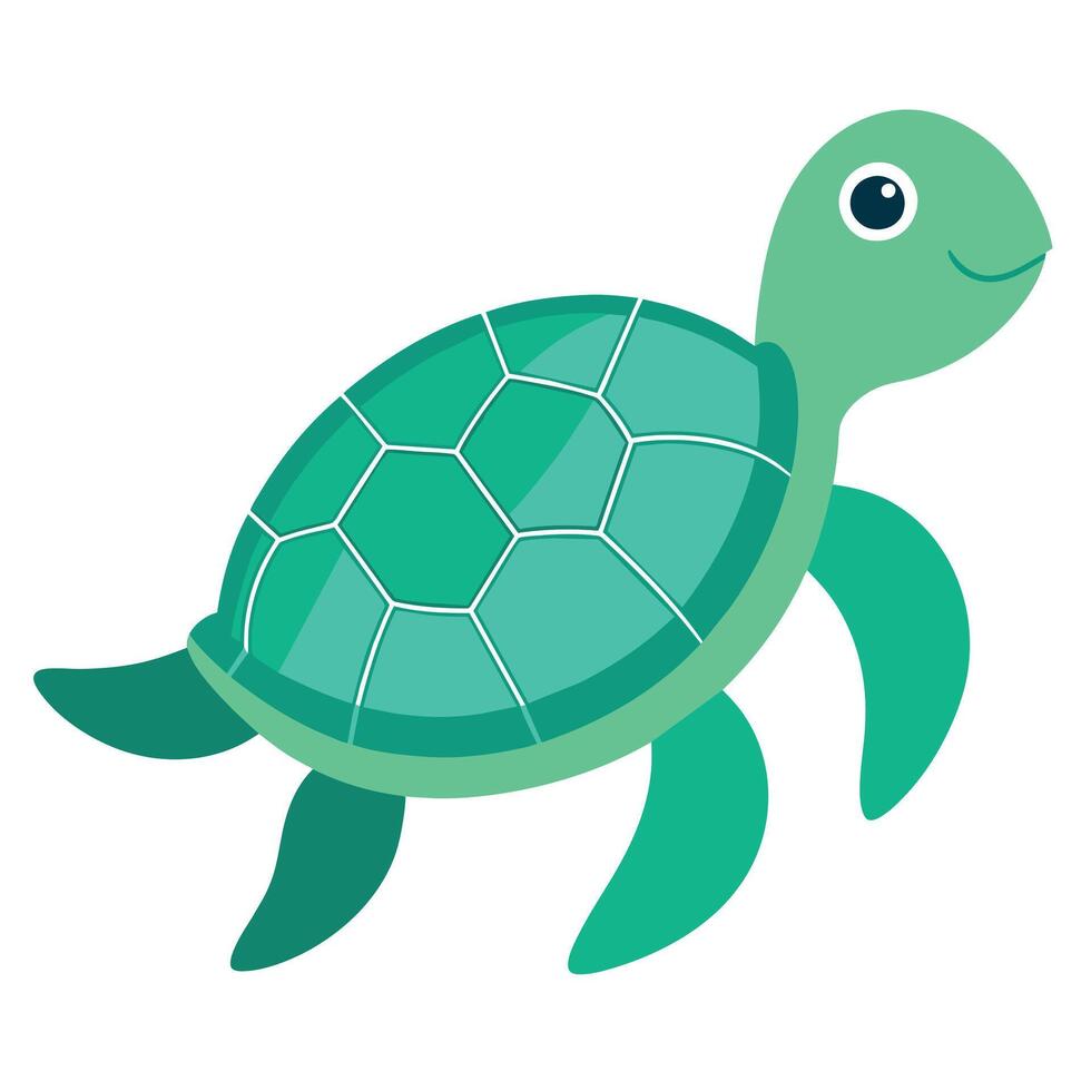 Sea Turtle illustration flat style, Turtle carton vector