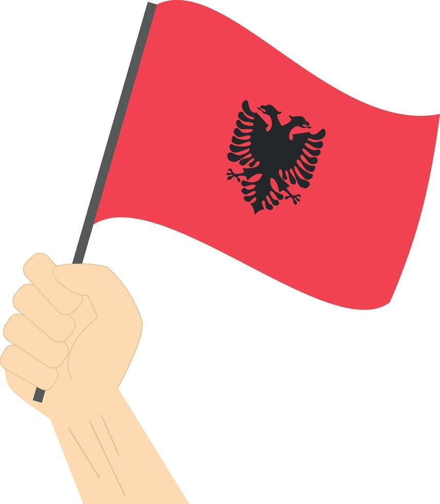 Hand holding and raising the national flag of Albania vector