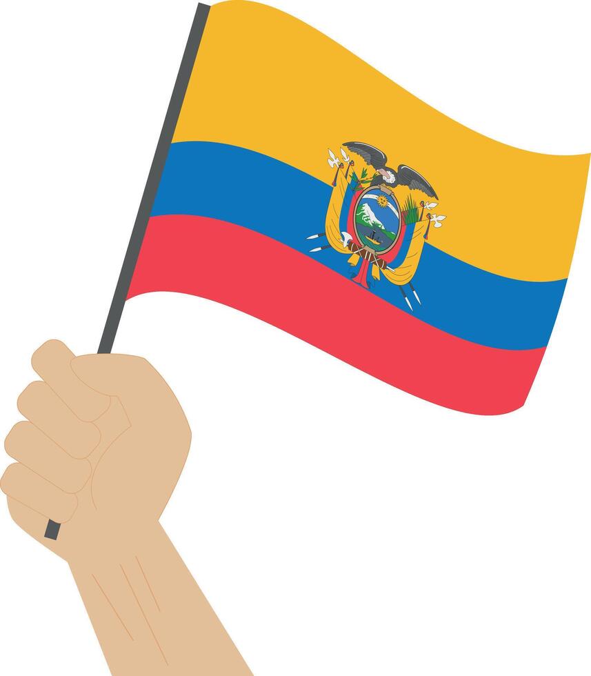 Hand holding and raising the national flag of Ecuador vector