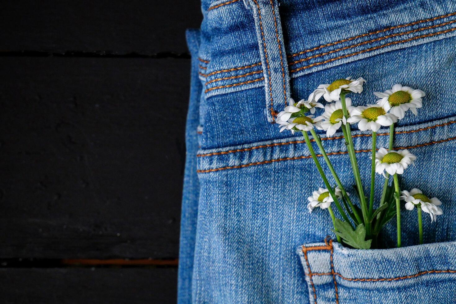 flowers in jeans pocket on black background photo