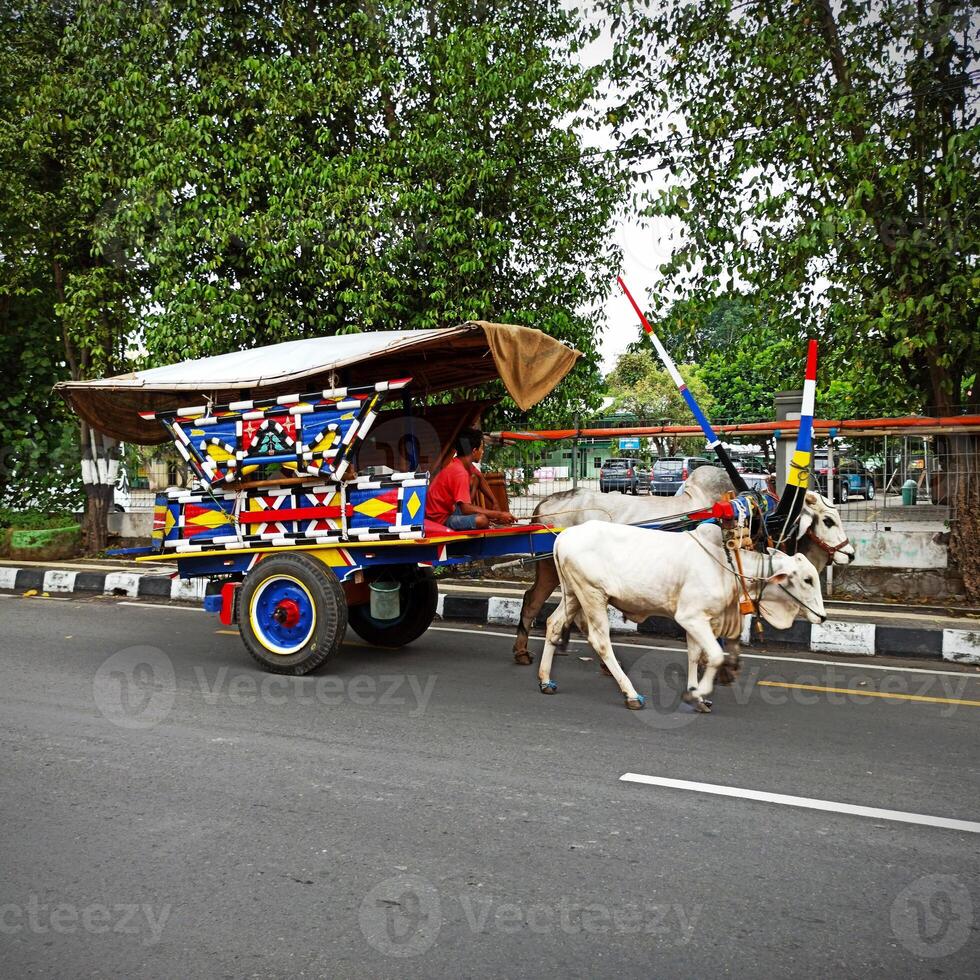 A Colorful traditional ox cart in the Yogyakarta area, Indonesia photo
