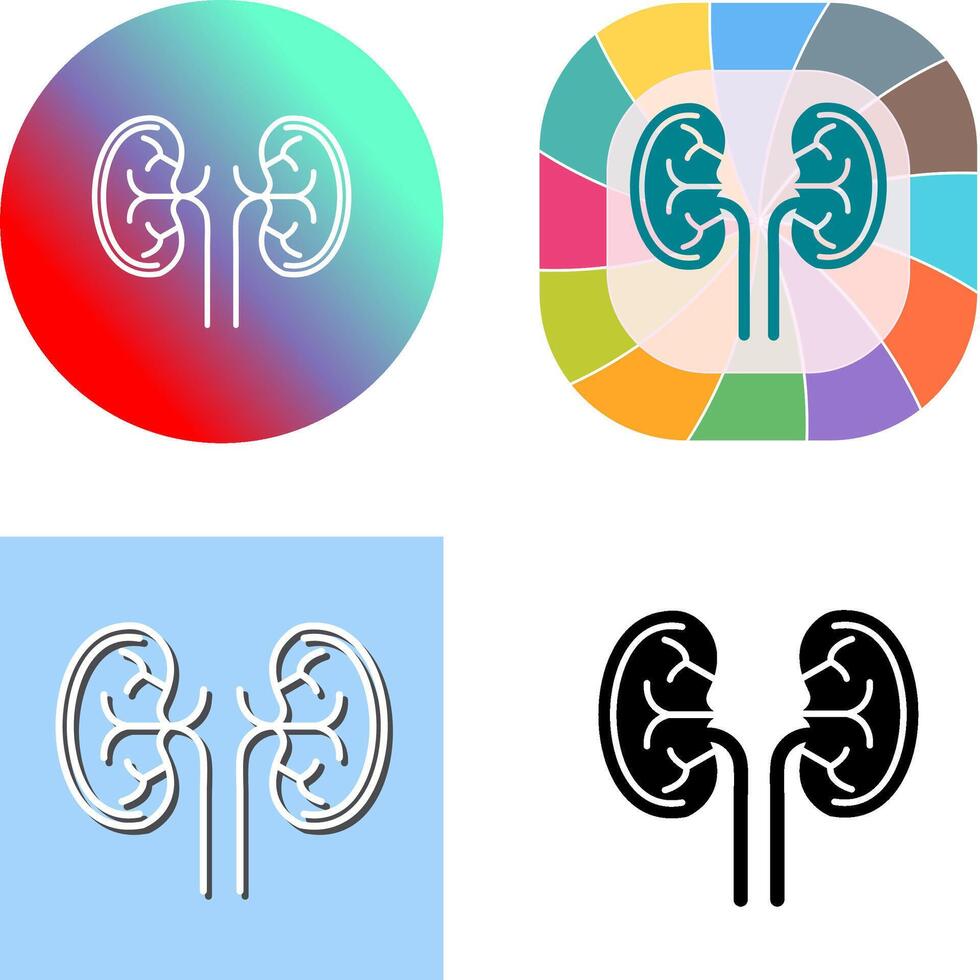 Kidney Icon Design vector