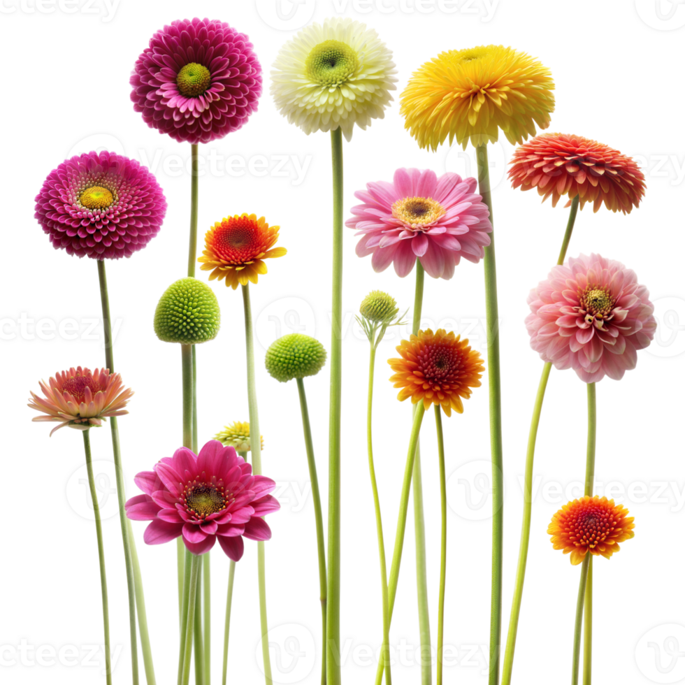 verschiedene beschwingt Blumen vereinbart worden im ein Vase, präsentieren anders Farben und Sorten png