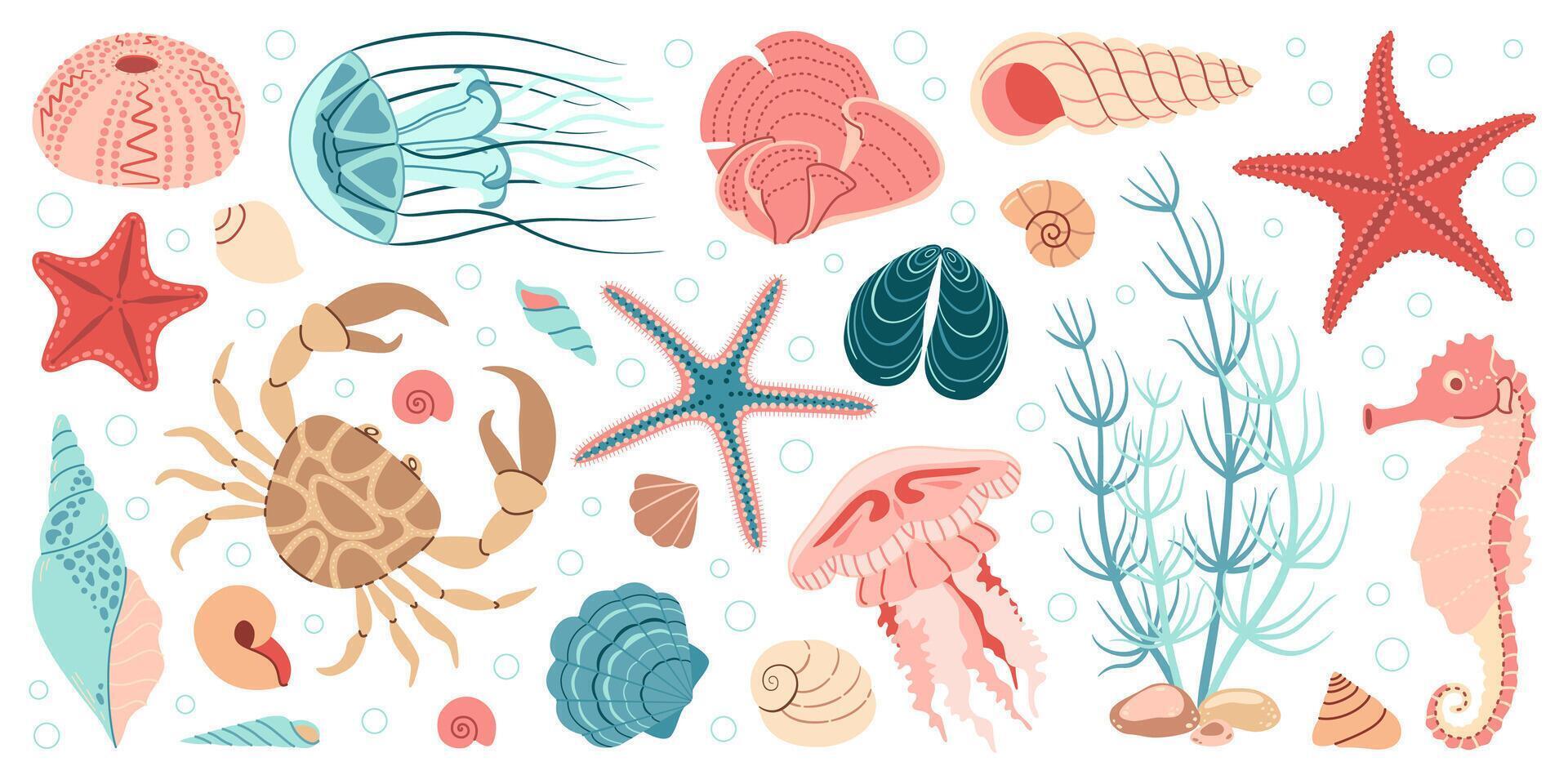 Hand drawn cartoon sea life elements set. Aquatic animals, anemones, crab, jellyfish, algae, seashells, starfish, sea horse. Trendy flat doodle set underwater ecosystem illustration vector