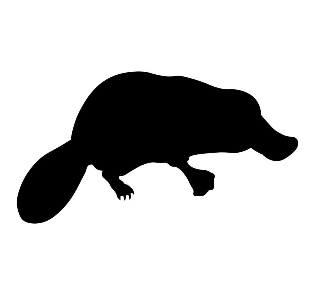 image of a black platypus vector