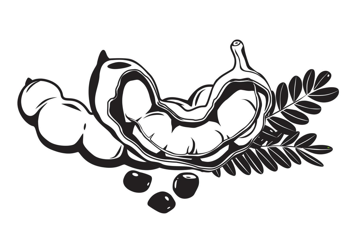 Tamarind fruit seeds and pods. illustration flat cartoon icon isolated on white. eps 10. perfect for wallpaper or design elements vector