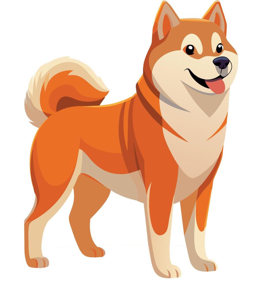 Japanese Akita Inu breed dog standing- vector