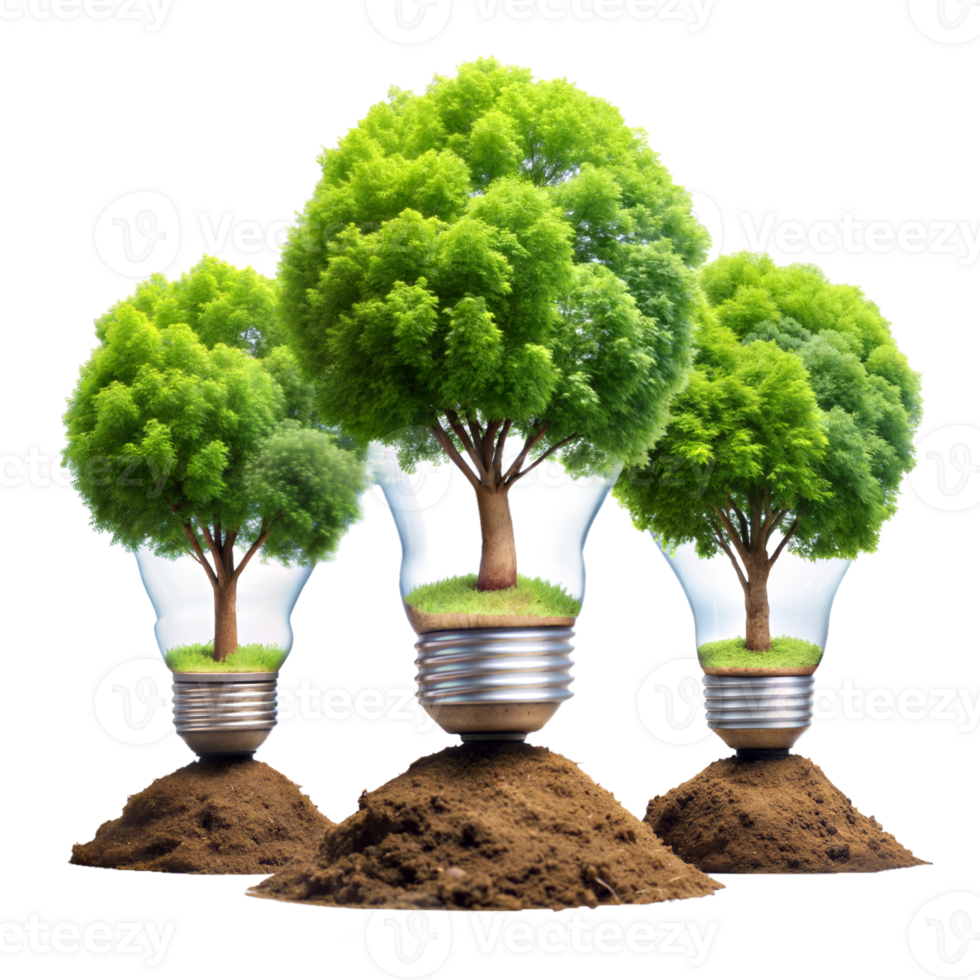 Respetuoso del medio ambiente energía concepto con arboles creciente en ligero bombillas png