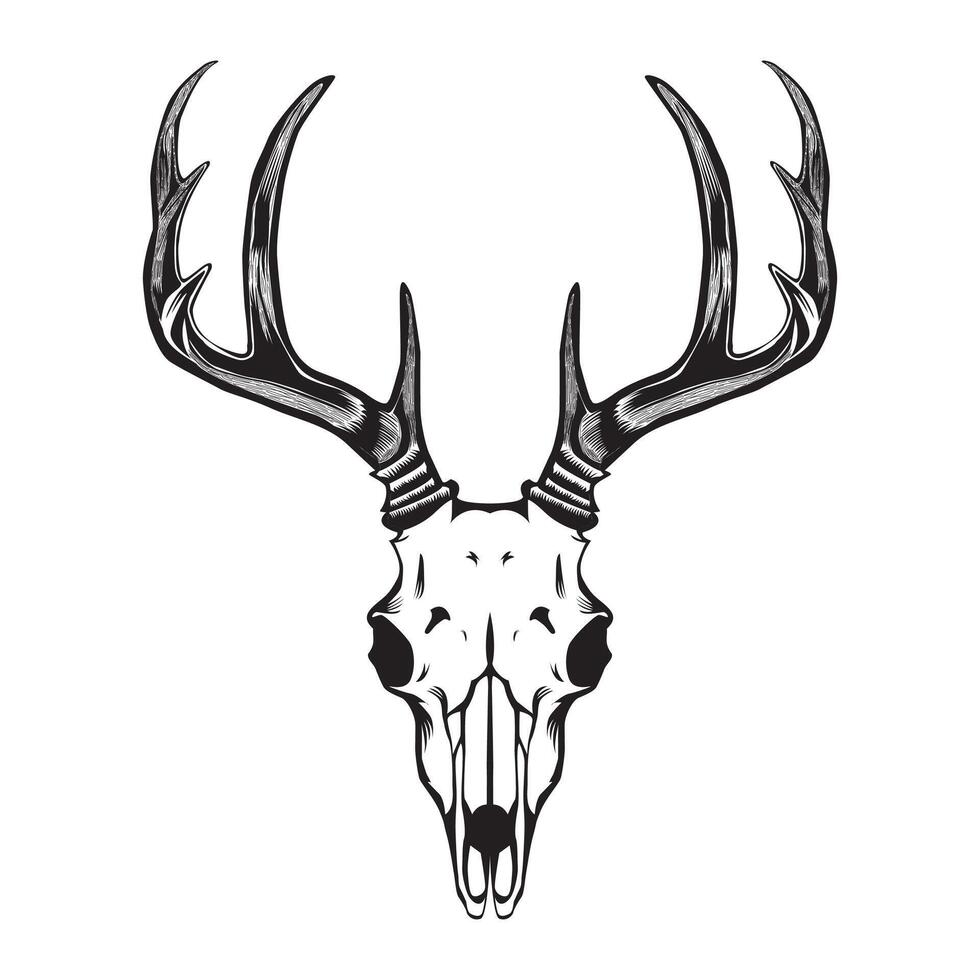 deer art unique hunting design vector