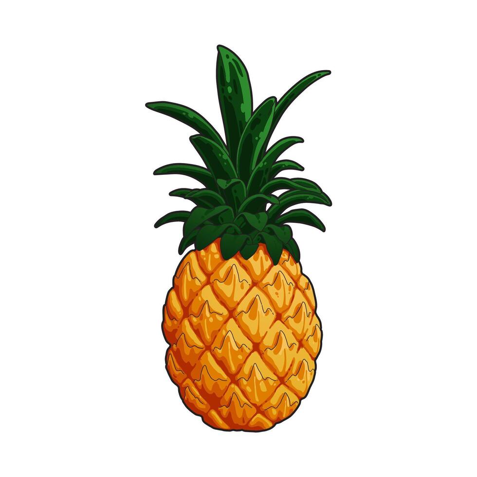 fresh ripe pineapple fruit vector