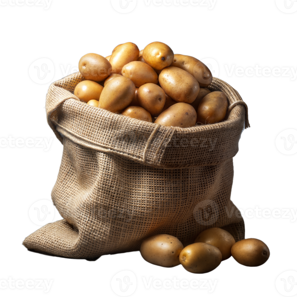 Fresh potatoes in a burlap sack on a transparent background png