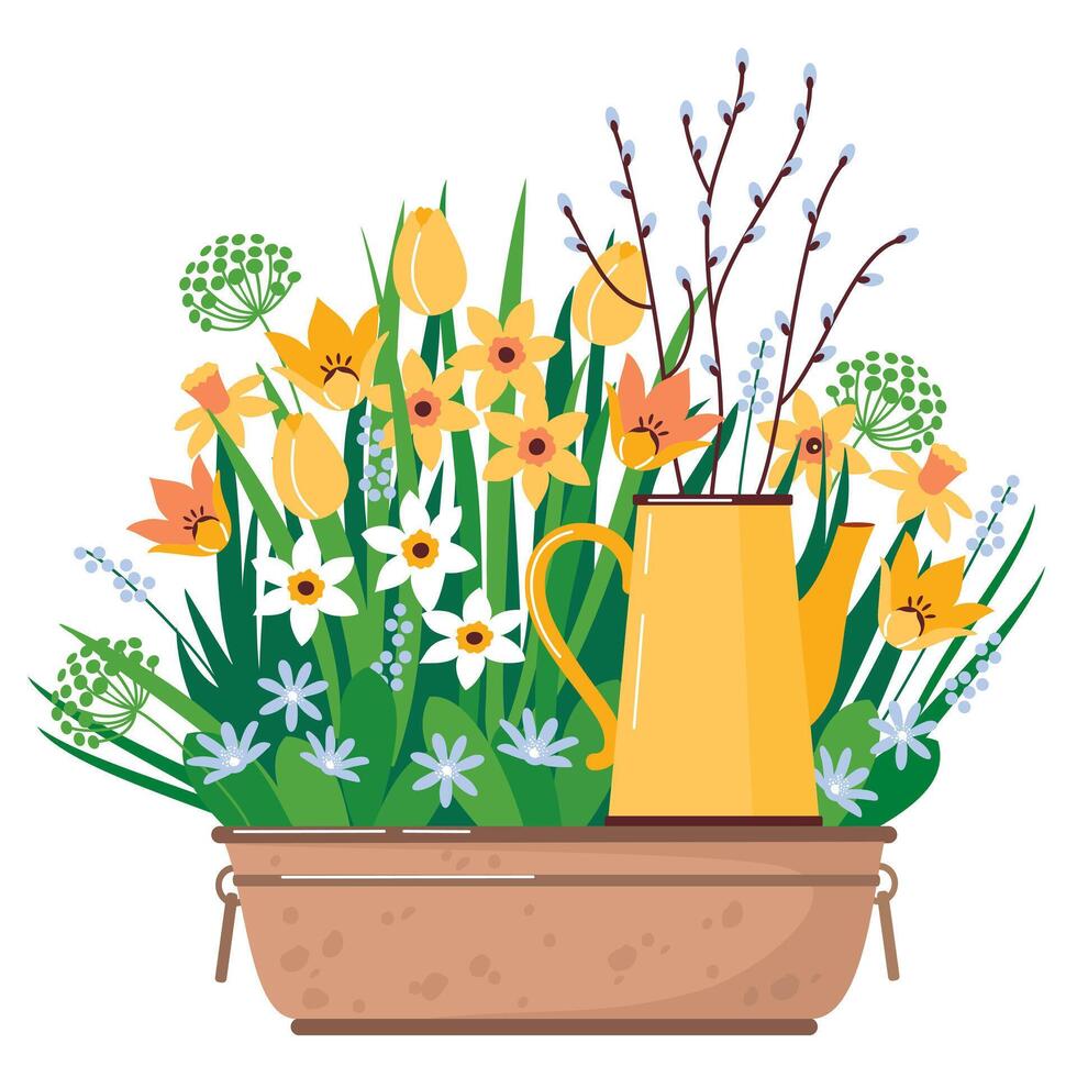 Yellow spring flowers in a garden pot. Daffodils, tulips and primroses in a large garden basin. A rustic spring scene with yellow primroses. Illustrated clipart. vector