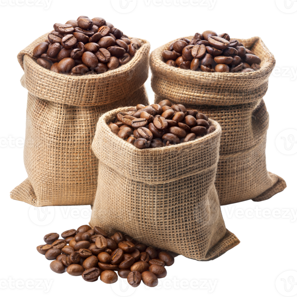 Three burlap sacks filled with fresh roasted coffee beans png