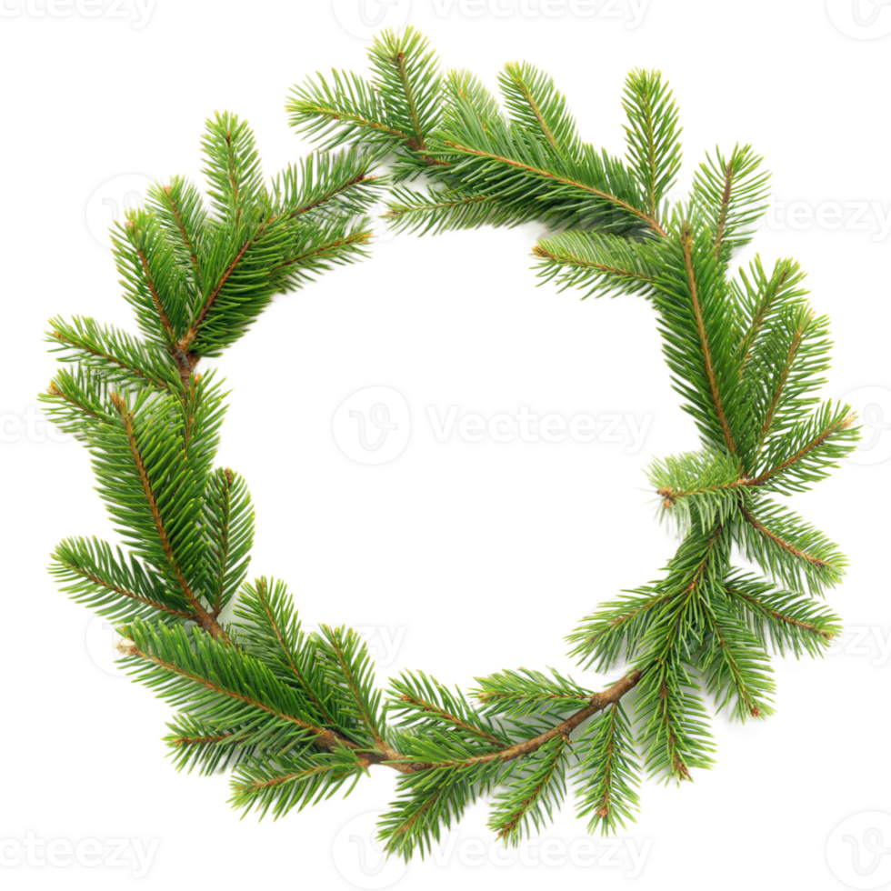 Festive Christmas wreath made of fresh fir branches png