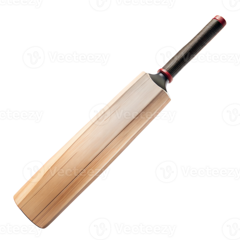 Professional cricket bat isolated with transparent background png