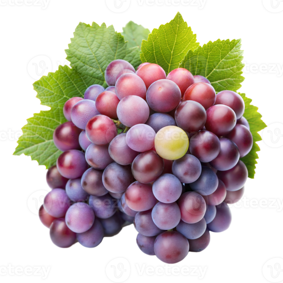 Cluster of grapes with green leaves on transparent background png