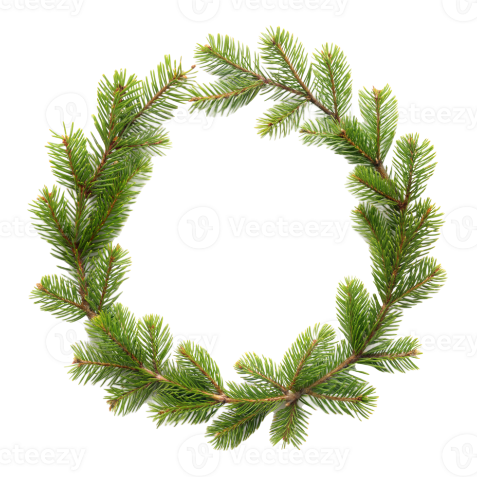 Fir tree branches forming circular Christmas wreath png