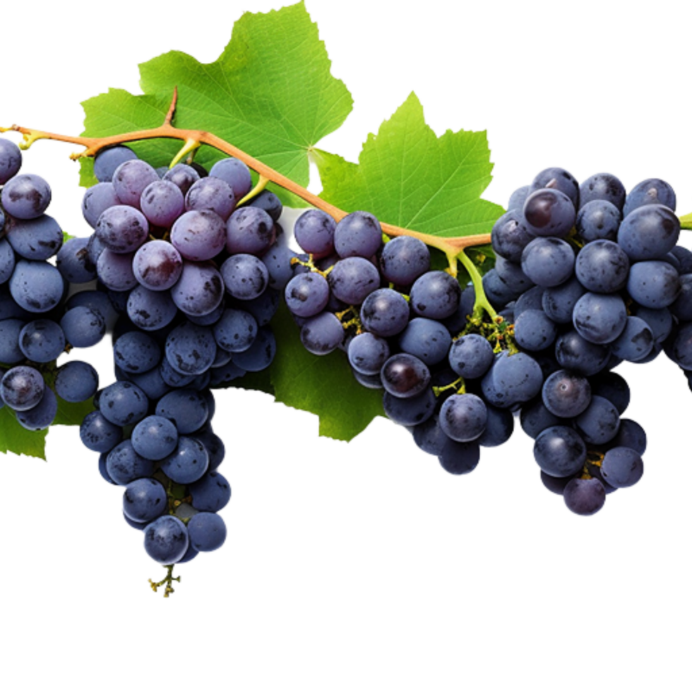 generated ai Grapes png