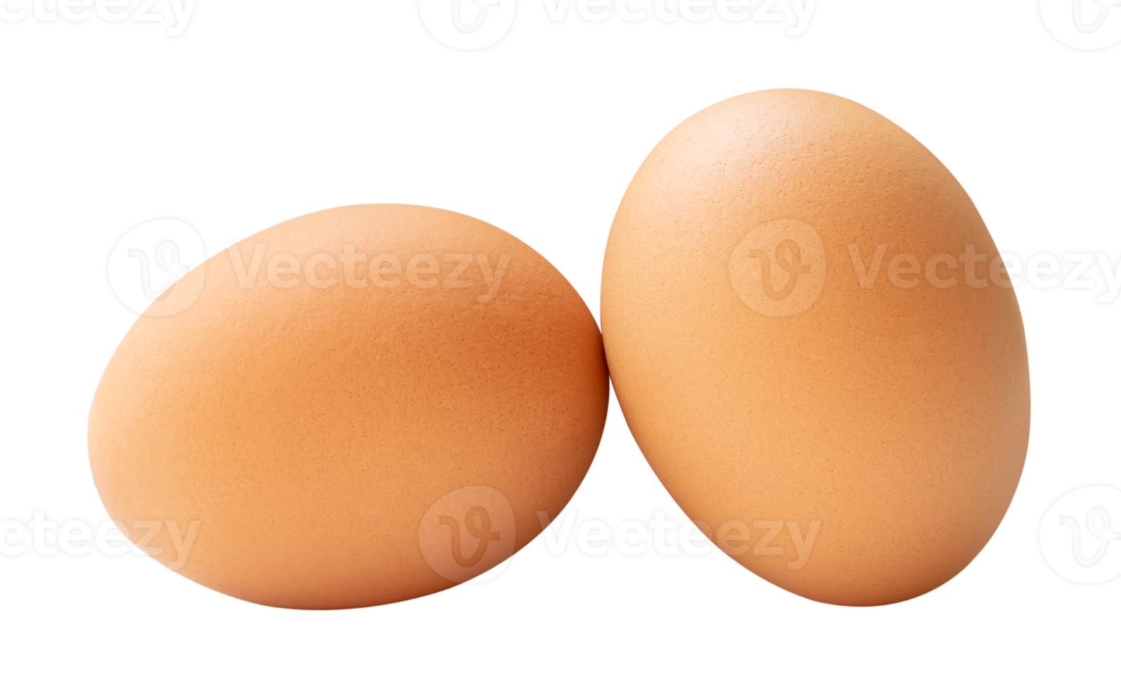 Front view of two brown chicken eggs isolated with clipping path in file format png