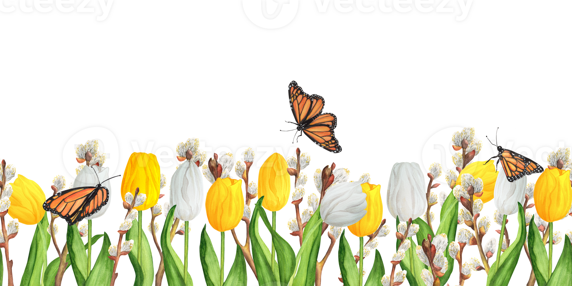 Seamless floral border with colorful white and yellow tulips and pussy-willow branches and butterflies. Hand-drawn watercolor illustration. png