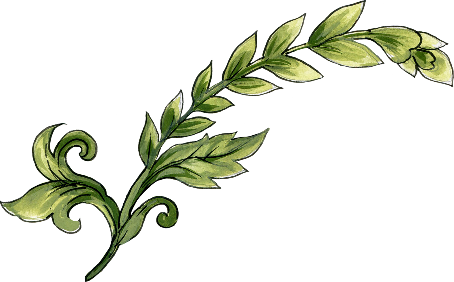 Elements motif jacobean rococo folk art png