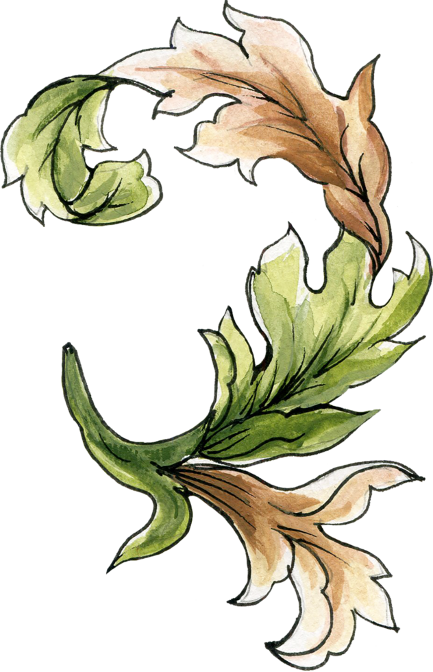 Elements motif jacobean rococo folk art png