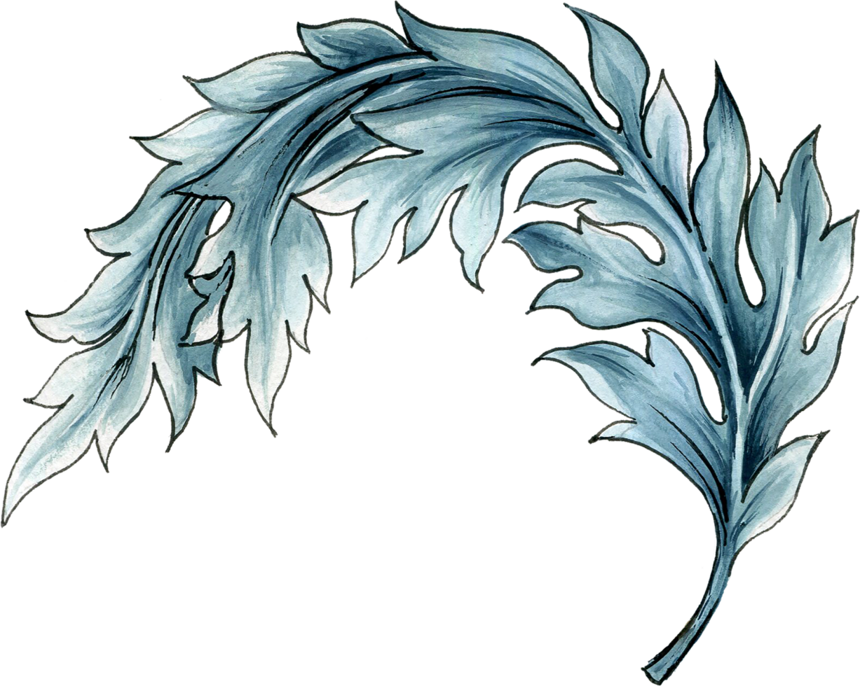 Elements motif jacobean rococo folk art png