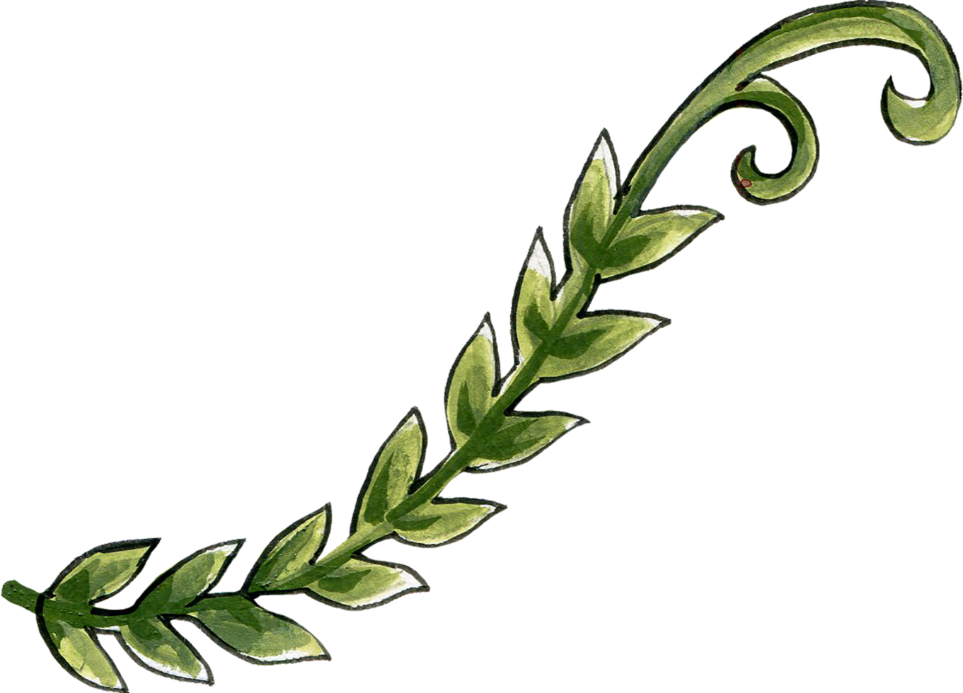Elements motif jacobean rococo folk art png