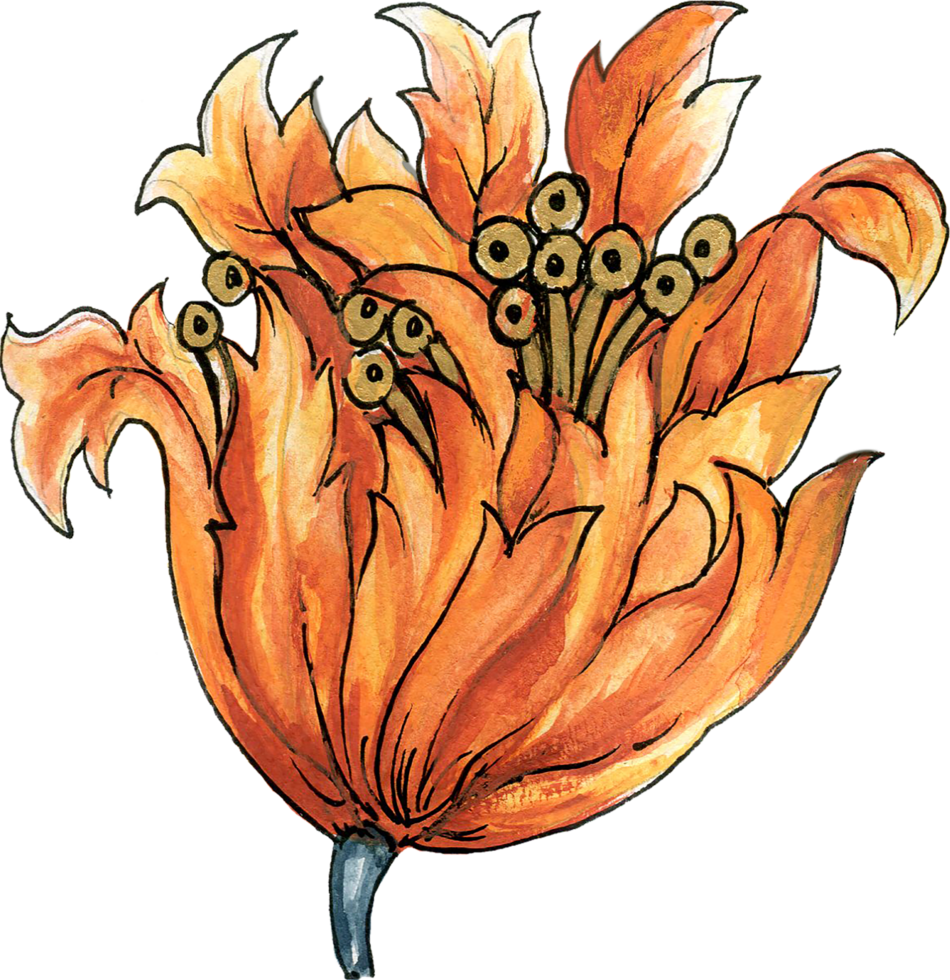 Elements motif jacobean rococo folk art png