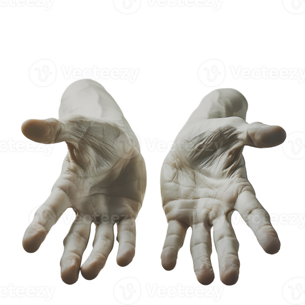 hand gestures on a transparent background png