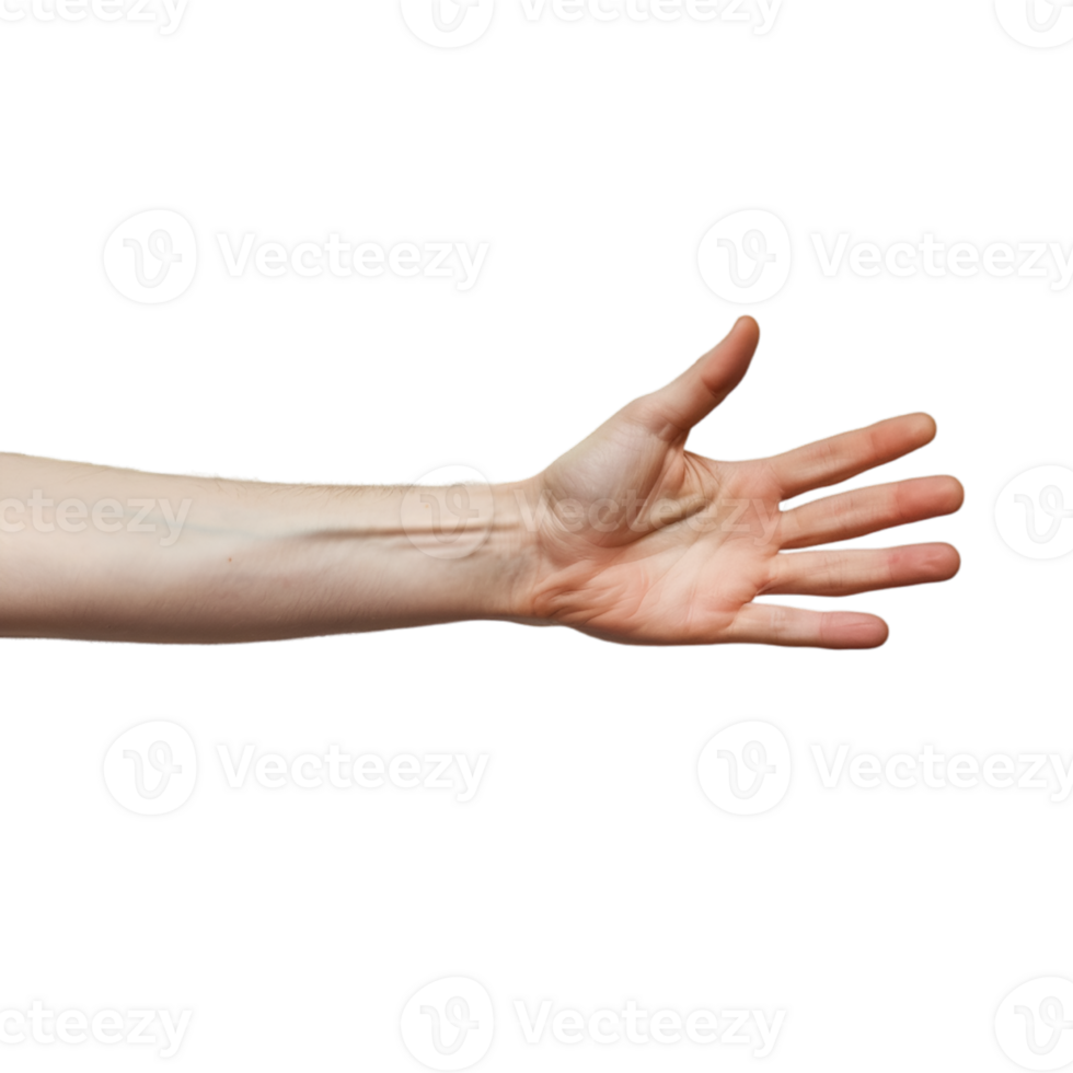 hand gestures on a transparent background png