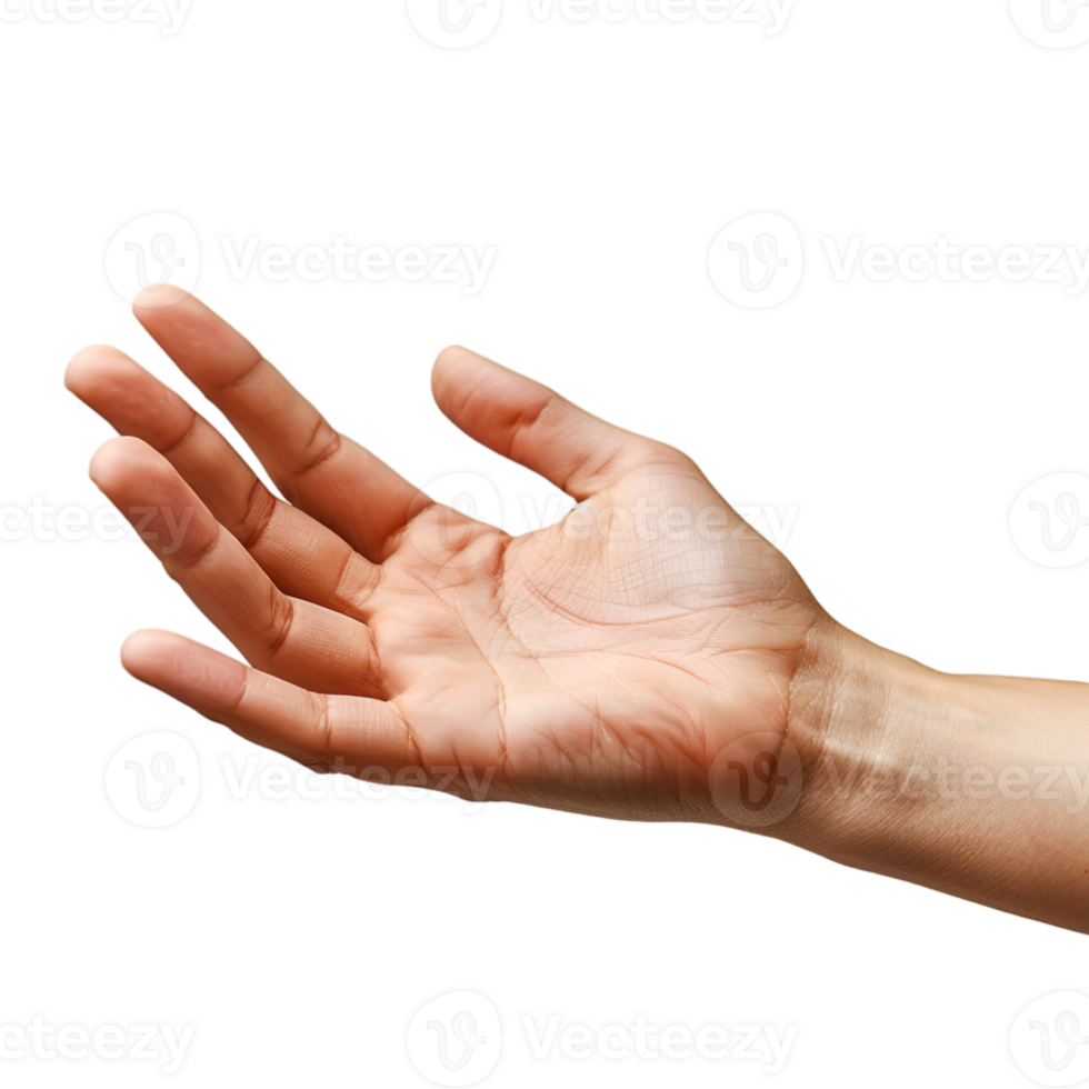 hand gestures on a transparent background png